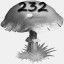 Mushrooms Collected 232