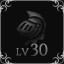 Reach Lv 30 with a character