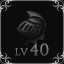 Reach Lv 40 with a character