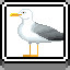 Seagull