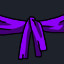 Purple Belt