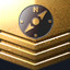 Gold Coordinator