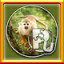 All Primates Puzzles Complete!