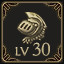 Reach Lvl 30 with a character