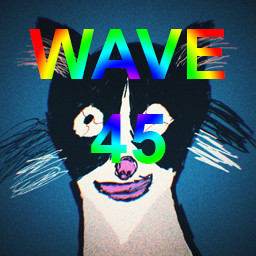 WAVE 45
