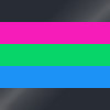 Polysexuality Pride Flag