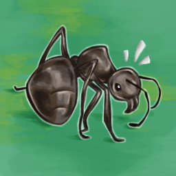 Ant Survivor