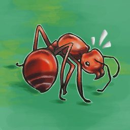 Fire Ant Survivor