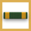 Navy and Marine Corps Achievement Medal