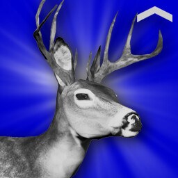 Deer Hunter (Novice)