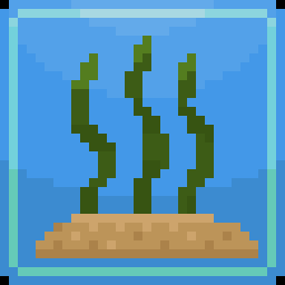 The Seaweed is Growing!