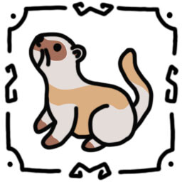 Ferret