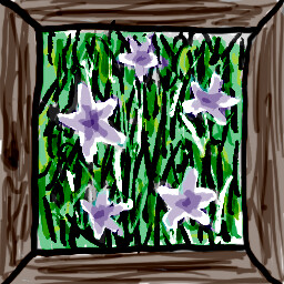 Lawn Stars