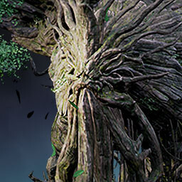 Origin of the Forest "Grand Aelon"