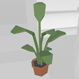Pot