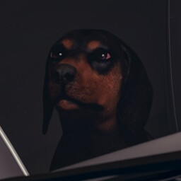 Rescue Plato