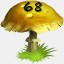 Mushrooms Collected 68