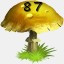 Mushrooms Collected 87