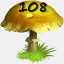 Mushrooms Collected 108