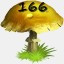 Mushrooms Collected 166