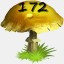 Mushrooms Collected 172