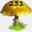 Mushrooms Collected 231