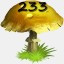 Mushrooms Collected 233