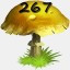 Mushrooms Collected 267