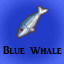 Blue Whale