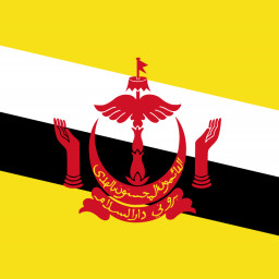 National flag of Brunei